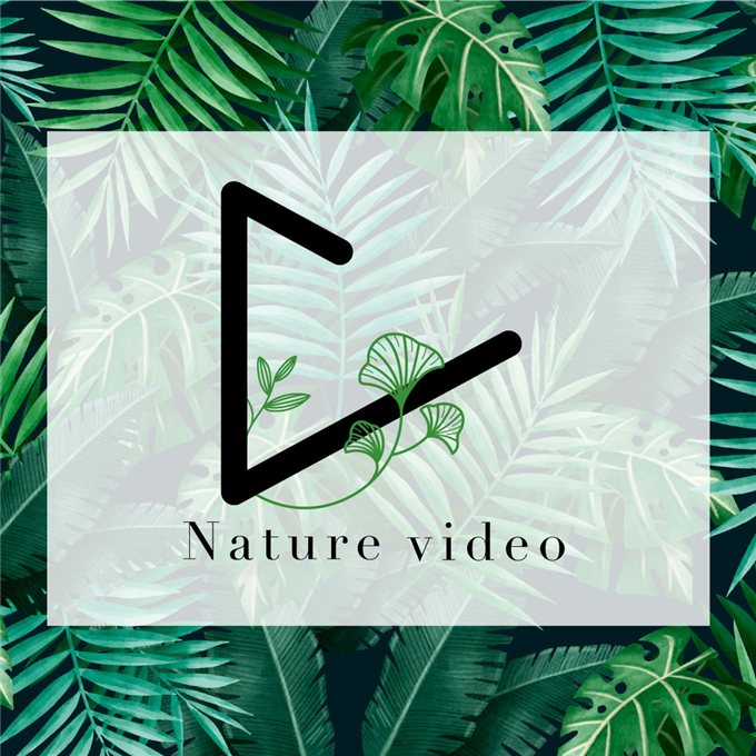 Nature Video - logo